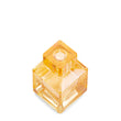 Load image into Gallery viewer, Aqua Vitae Cologne forte Eau de Parfum