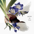 Load image into Gallery viewer, Eau de gentiane blanche, Eau de Cologne