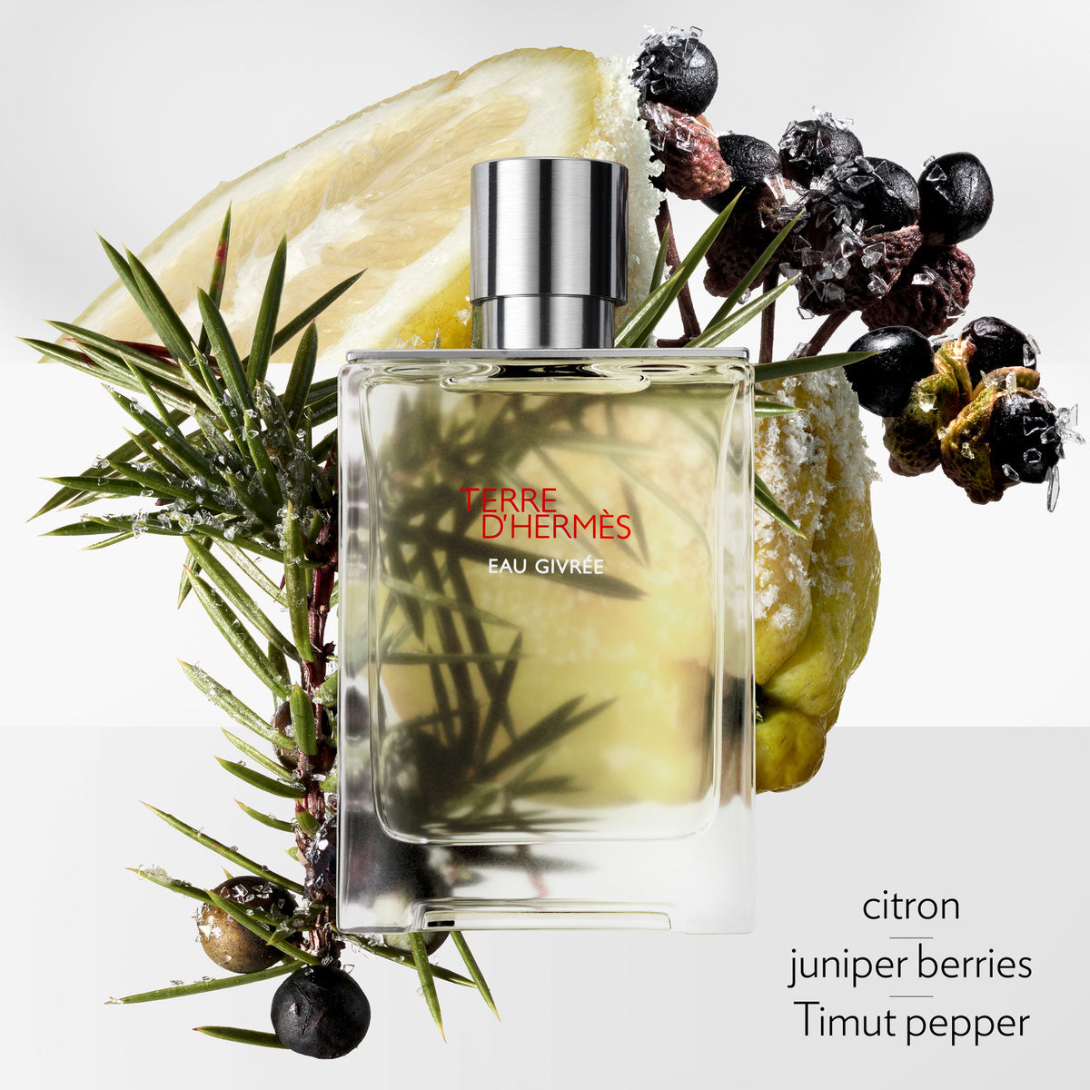 Terre d'Hermès Eau Givrée, Eau de Parfum | escentials.com