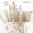 Load image into Gallery viewer, Un Jardin à Cythère, Eau de Toilette