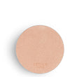Load image into Gallery viewer, Plein Air, Radiant Glow Powder