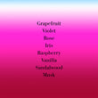 Load image into Gallery viewer, Lipstick Rose Eau de Parfum