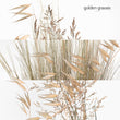 Load image into Gallery viewer, Un Jardin à Cythère, Perfumed body lotion