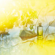 Load image into Gallery viewer, Le Jardin de Monsieur Li, Eau de toilette - escentials.com