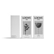 Load image into Gallery viewer, Aire Sutileza Eau de Toilette And Solo Ella Duo