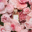 Load image into Gallery viewer, À la rose Eau de Parfum