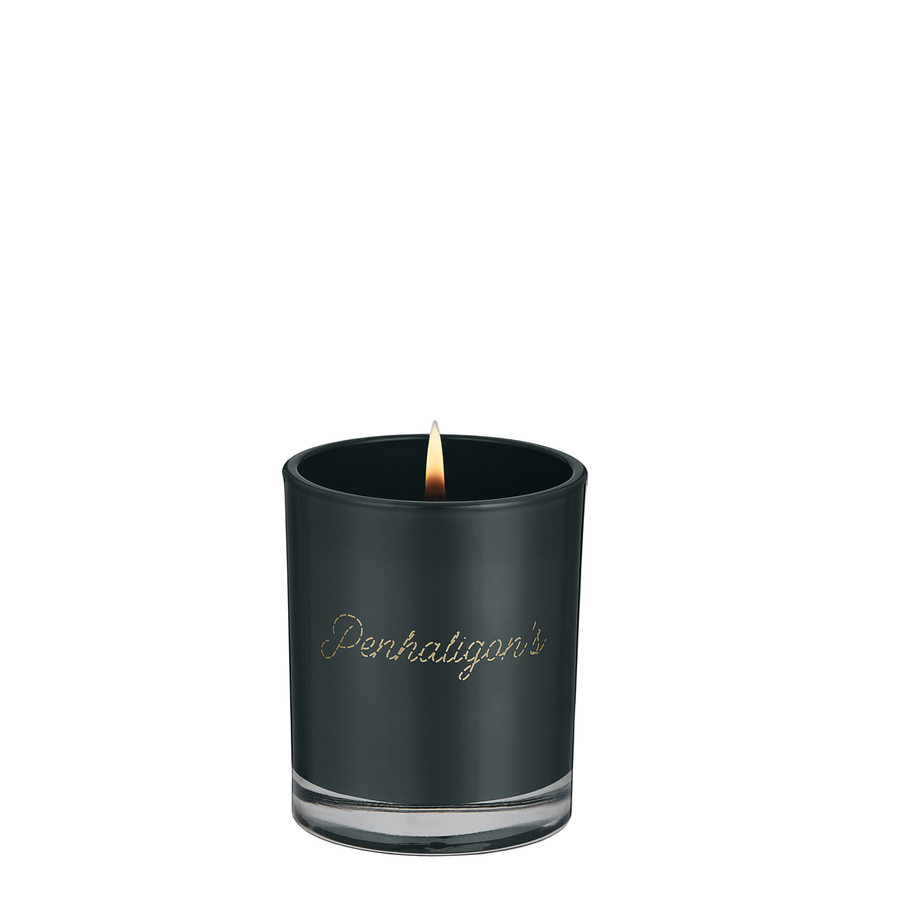 Fireside Fir Scented Candle