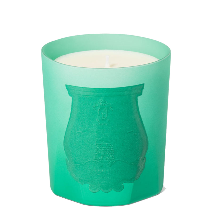 Under the Trees Scented Candle