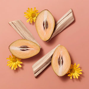 Hermèsistible, Infused Care Oil