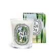 Load image into Gallery viewer, Pinède (Pine Grove) - Classic Candle - escentials.com
