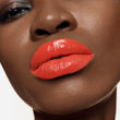 Load image into Gallery viewer, Liquid Lipstick Vinyl Liquid Pride 191
